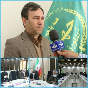 درخواست جذب ۵۰ میلیارد تومان اعتبار جهت توسعه کشت گیاهان دارویی در لرستان