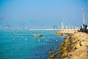 ببینید | ماجرای خلق صحنه‌هایی زیبا و لذت‌بخش در خلیج فارس چه بود؟