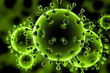 ببینید | آخرین آمار و ارقام کرونا در ایران