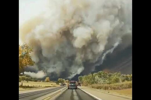 ببینید | آتش سوزی مهیب در جنگل‌های ایالت کلرادو آمریکا