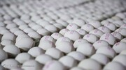 واگذاری عرضه تخم مرغ بسته بندی به انجمن تولیدکنندگان