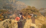 هشدار؛ احتمال آتش‌سوزی جنگل‌های این استان در روز طبیعت