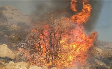آتش سوزی جنگل‌های کوه«نیر» کهگیلویه و بویراحمد پس از ۶ روز مهار شد