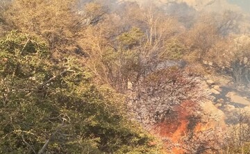 آتش در کمین جنگل‌ها و مراتع مازندران