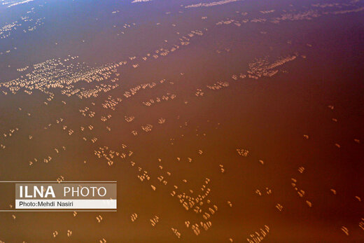 عکسهای هوایی از دریاچه ارومیه