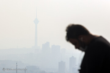 تهران خاکستری