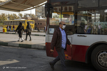 تهران خاکستری