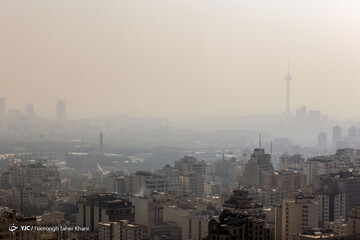 تهران خاکستری