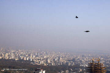تهران خاکستری