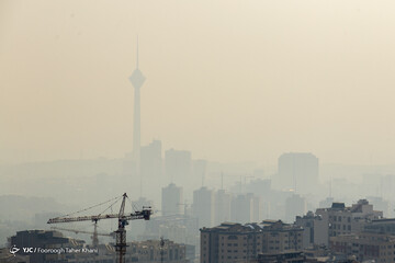 تهران خاکستری
