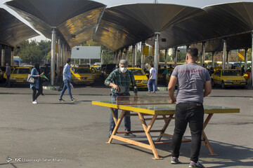 تهران خاکستری