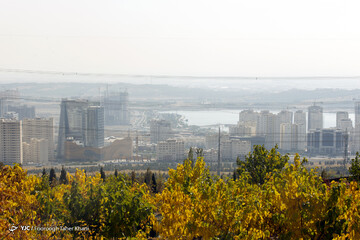 تهران خاکستری