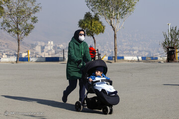 تهران خاکستری