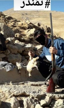 دستگیری متخلف زیست محیطی از طریق رصد فضای مجازی در شهرستان ازنا