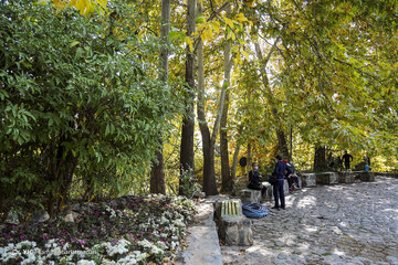 تهران پاییزی