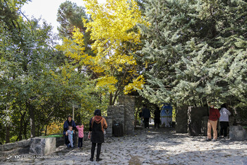 تهران پاییزی