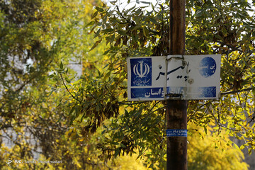 تهران پاییزی