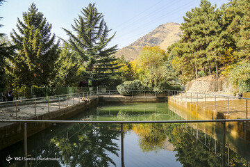 تهران پاییزی