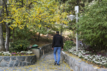 تهران پاییزی
