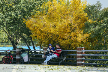 تهران پاییزی