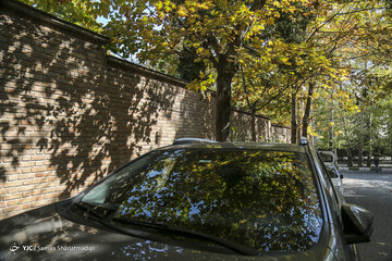 تهران پاییزی