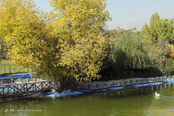 تهران پاییزی