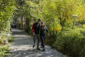 تهران پاییزی