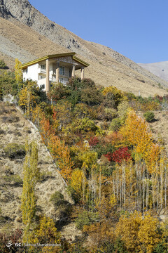 تهران پاییزی