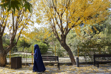 تهران پاییزی
