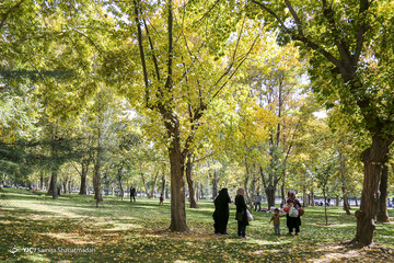 تهران پاییزی