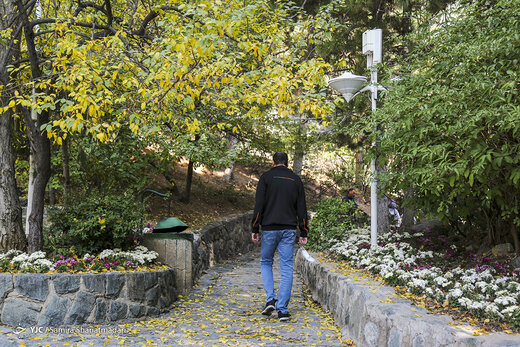 تهران پاییزی