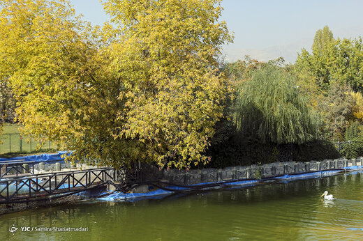 تهران پاییزی