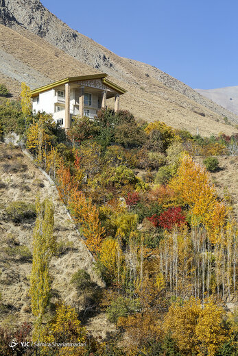 تهران پاییزی
