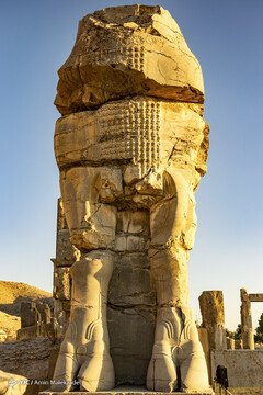 تخت جمشید