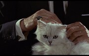 ببینید | گربه جیمز باند در ماموریت ویژه و سری