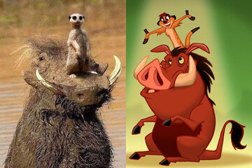 ببینید | «دوست‌های صمیمی، کارهای قدیمی» به روایت تصویر