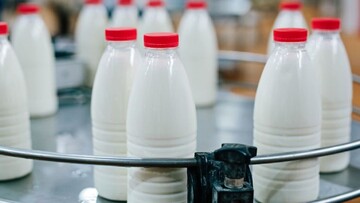 نرخ شیر خام ۱۵ هزار تومان تصویب شد+جزئیات
