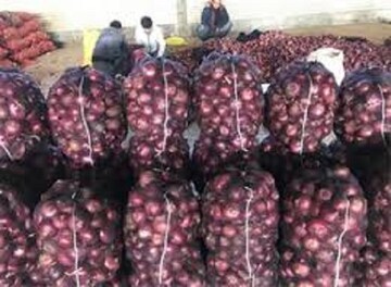 کشف ۱۷۰تن پیاز احتکار شده در قزوین