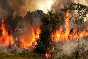 آتش‌سوزی در جنگل‌های گرگان