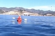 ببینید | بلعیدن یک دختر توسط یک نهنگ