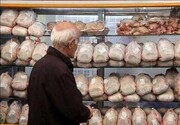دبیرکانون مرغداران گوشتی: راهکاری برای کاهش قیمت مرغ نداریم