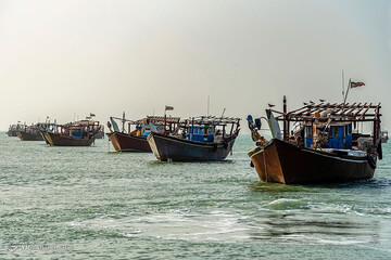 ببینید | قاب‌های جادویی از بهشت ایرانی