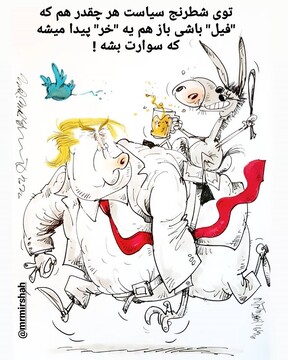 ببینید بالاخره الاغ سوار فیل شد! 