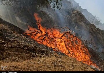 هفتمین روز جدال آتش و طبیعت در گلستان/ شعله‌ها در جنگل‌های توسکستان زبانه می‌کشد