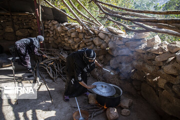 روستای گردشگری چنار منگره