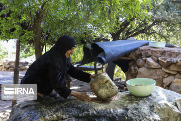 روستای گردشگری چنار منگره