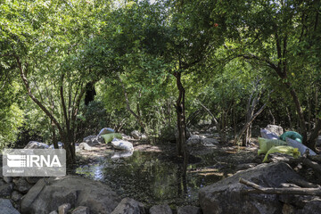 روستای گردشگری چنار منگره