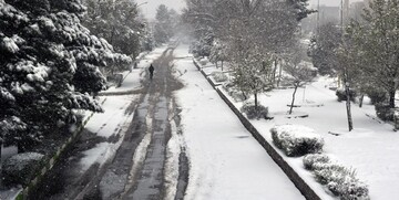 مازندران«برفی» شد/ بارش باران در ۹ استان