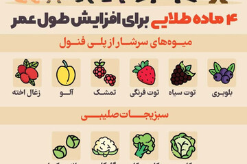 اینفوگرافیک | ۴ ماده طلایی برای افزایش طول عمر