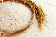 برنج، شکر و سایر اقلام خوراکی طی یک سال اخیر چند درصد گران شدند؟